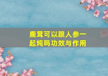 鹿茸可以跟人参一起炖吗功效与作用