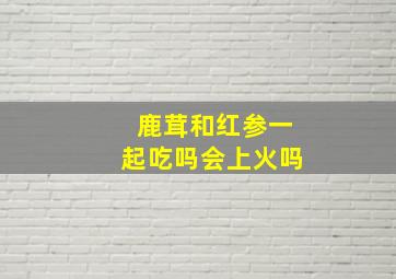 鹿茸和红参一起吃吗会上火吗