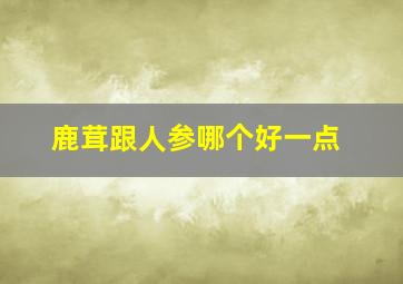 鹿茸跟人参哪个好一点