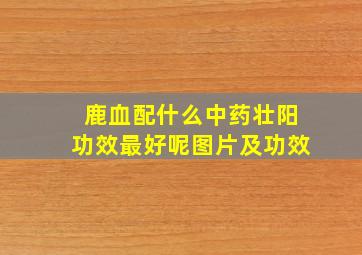 鹿血配什么中药壮阳功效最好呢图片及功效