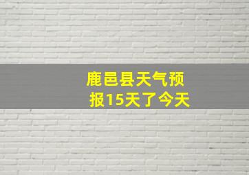 鹿邑县天气预报15天了今天