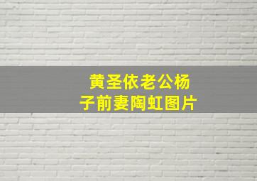 黄圣依老公杨子前妻陶虹图片