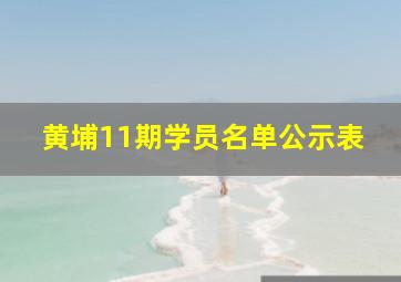 黄埔11期学员名单公示表