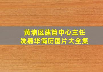 黄埔区建管中心主任冼嘉华简历图片大全集