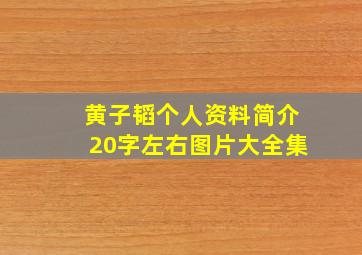 黄子韬个人资料简介20字左右图片大全集