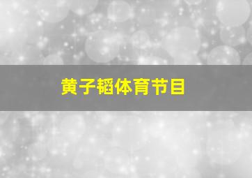 黄子韬体育节目