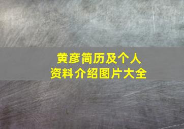 黄彦简历及个人资料介绍图片大全