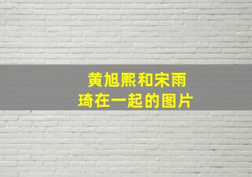 黄旭熙和宋雨琦在一起的图片