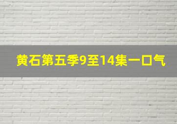 黄石第五季9至14集一口气