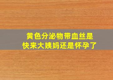 黄色分泌物带血丝是快来大姨妈还是怀孕了