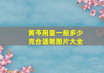 黄芩用量一般多少克合适呢图片大全