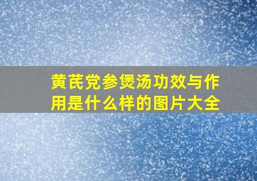 黄芪党参煲汤功效与作用是什么样的图片大全