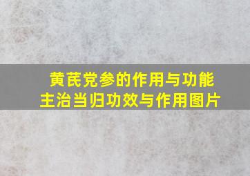 黄芪党参的作用与功能主治当归功效与作用图片