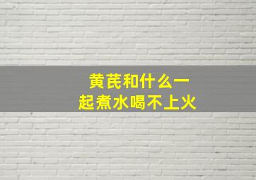 黄芪和什么一起煮水喝不上火