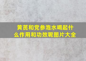 黄芪和党参泡水喝起什么作用和功效呢图片大全