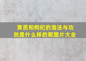 黄芪和枸杞的泡法与功效是什么样的呢图片大全