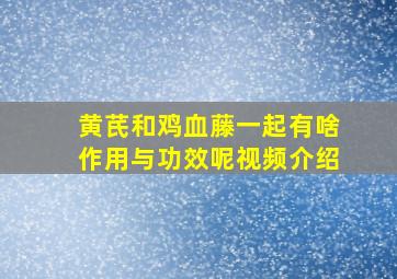 黄芪和鸡血藤一起有啥作用与功效呢视频介绍