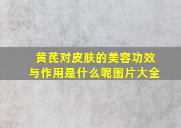 黄芪对皮肤的美容功效与作用是什么呢图片大全