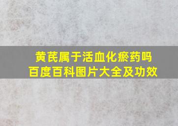 黄芪属于活血化瘀药吗百度百科图片大全及功效