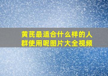 黄芪最适合什么样的人群使用呢图片大全视频