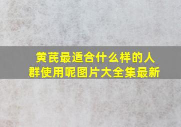 黄芪最适合什么样的人群使用呢图片大全集最新