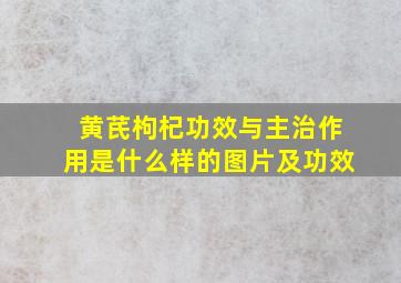 黄芪枸杞功效与主治作用是什么样的图片及功效