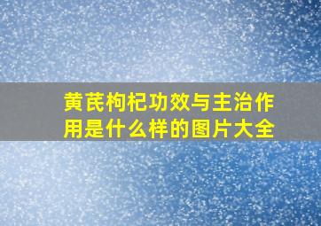 黄芪枸杞功效与主治作用是什么样的图片大全