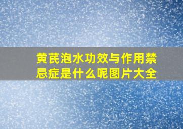 黄芪泡水功效与作用禁忌症是什么呢图片大全