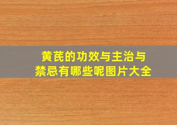 黄芪的功效与主治与禁忌有哪些呢图片大全