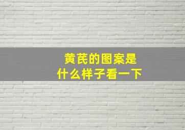 黄芪的图案是什么样子看一下