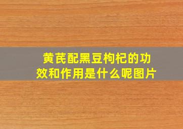 黄芪配黑豆枸杞的功效和作用是什么呢图片