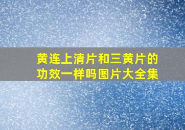 黄连上清片和三黄片的功效一样吗图片大全集