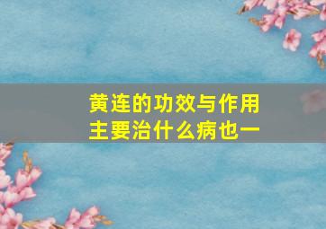 黄连的功效与作用主要治什么病也一