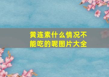 黄连素什么情况不能吃的呢图片大全