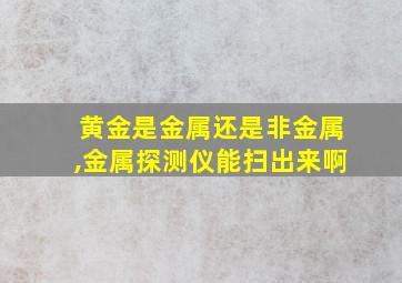 黄金是金属还是非金属,金属探测仪能扫出来啊