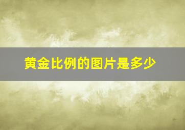 黄金比例的图片是多少