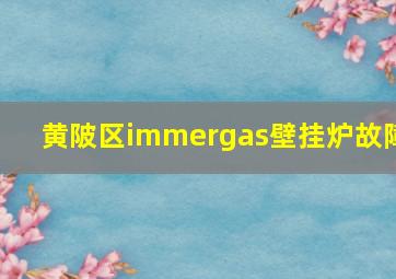 黄陂区immergas壁挂炉故障