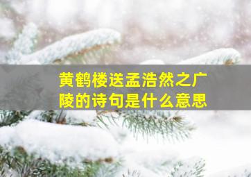 黄鹤楼送孟浩然之广陵的诗句是什么意思