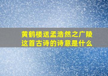 黄鹤楼送孟浩然之广陵这首古诗的诗意是什么