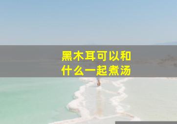 黑木耳可以和什么一起煮汤