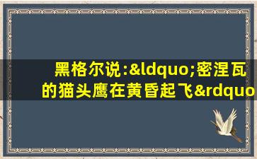 黑格尔说:“密涅瓦的猫头鹰在黄昏起飞”