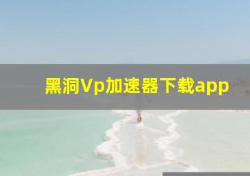 黑洞Vp加速器下载app