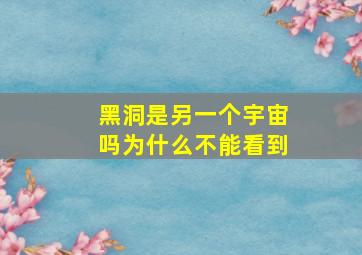 黑洞是另一个宇宙吗为什么不能看到