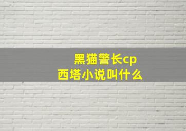 黑猫警长cp西塔小说叫什么