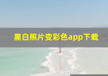 黑白照片变彩色app下载