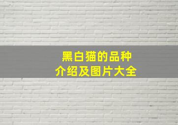 黑白猫的品种介绍及图片大全