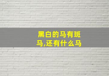 黑白的马有斑马,还有什么马