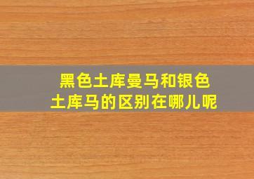 黑色土库曼马和银色土库马的区别在哪儿呢