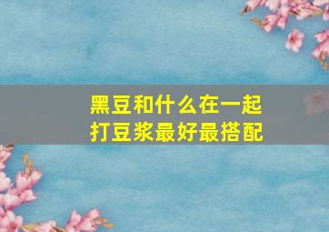 黑豆和什么在一起打豆浆最好最搭配