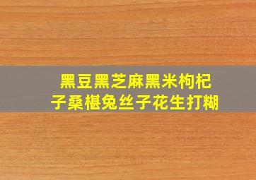 黑豆黑芝麻黑米枸杞子桑椹兔丝子花生打糊